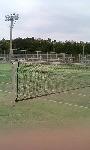 鹿島テニスコート