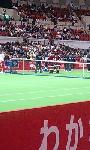お楽しみ抽選会