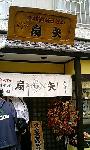 扇矢