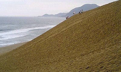 砂丘海側