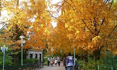 チボリ公園の紅葉
